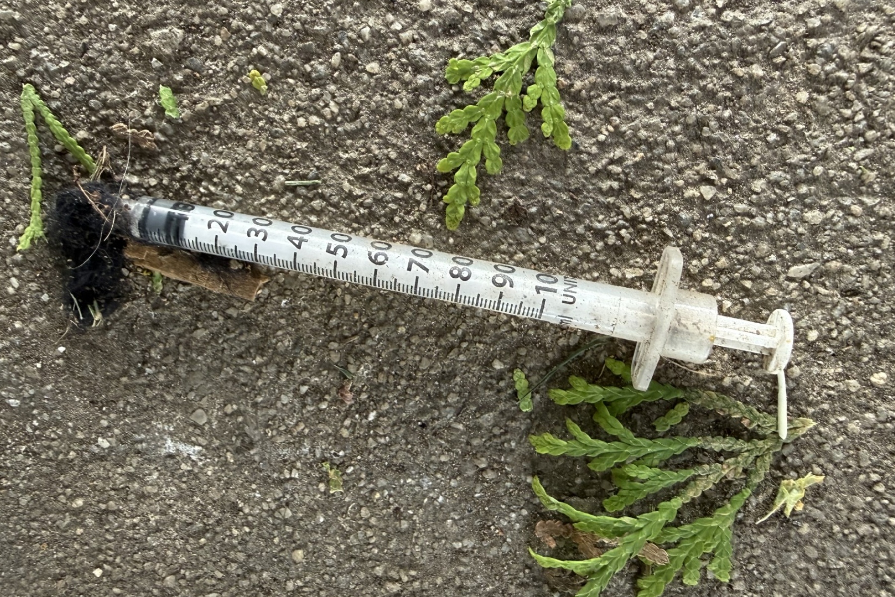 A used syringe on the ground in West Asheville