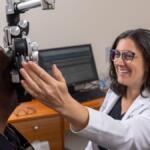 Optometrist adjusts a phoropter to test a patient's vision, both smiling in a clinic room.