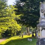 Sunlit cemetery scene with a tall ornate angel statue on the right and a tree-lined path to the left of the lawned grounds.