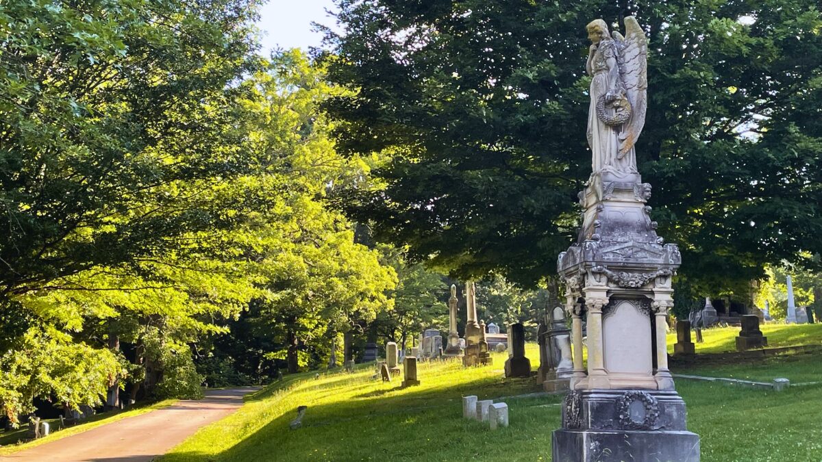 Sunlit cemetery scene with a tall ornate angel statue on the right and a tree-lined path to the left of the lawned grounds.
