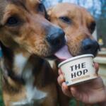 Two dogs lick a cup of dog-friendly ice cream labeled 'THE HOP' held by a person outdoors, sharing a treat.