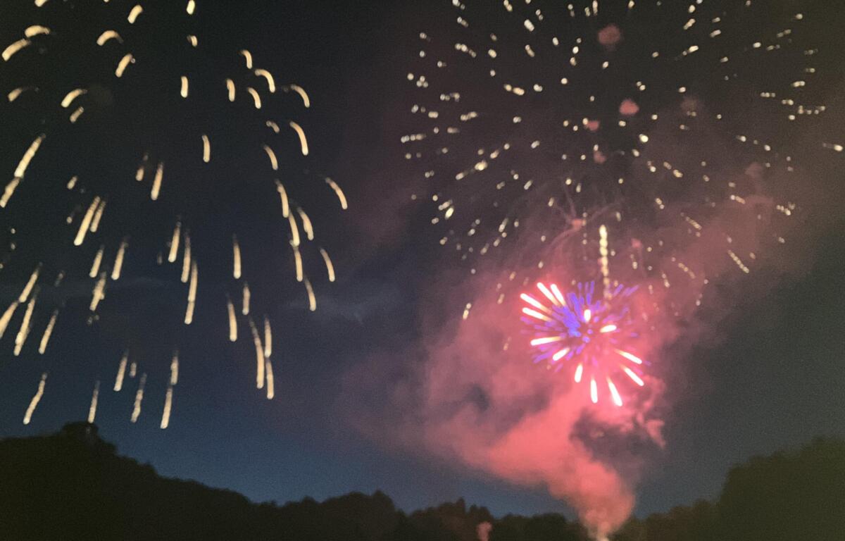 Fireworks bursting in a dark night sky above a treeline, with gold and pink-red trails and smoke.