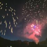 Fireworks bursting in a dark night sky above a treeline, with gold and pink-red trails and smoke.