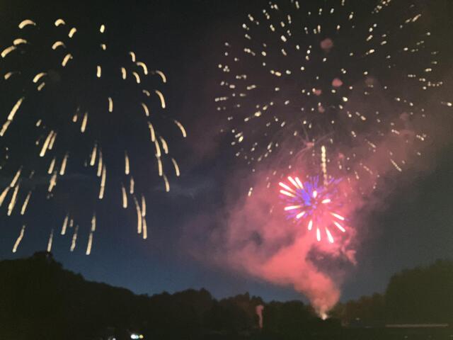 Fireworks bursting in a dark night sky above a treeline, with gold and pink-red trails and smoke.