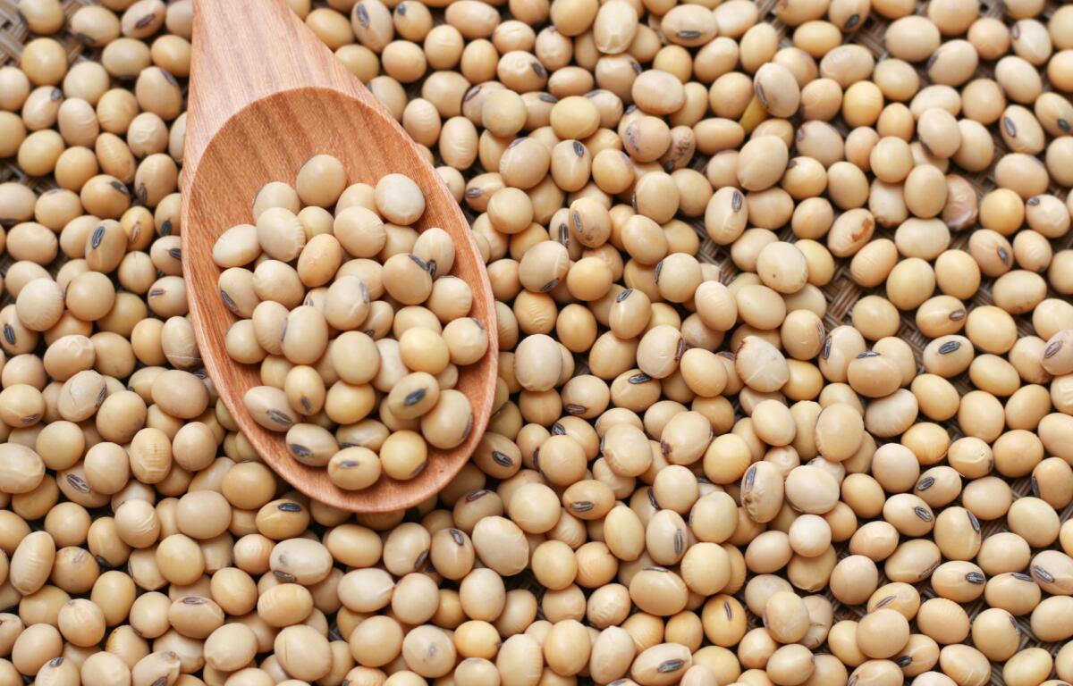 Dried beans