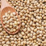 Dried beans