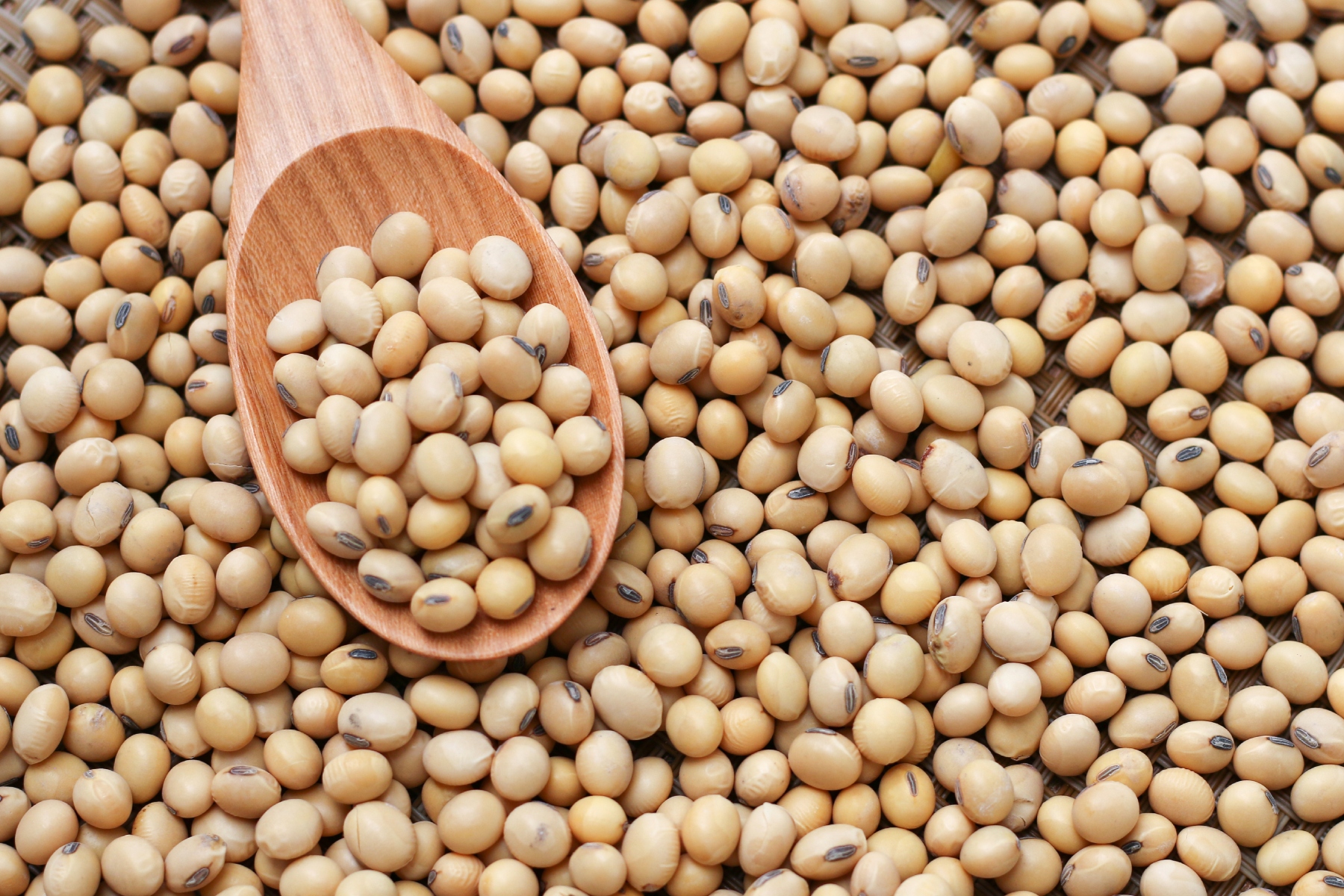 Dried beans