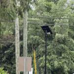 A Flock automated license plate reader camera is seen at the entrance/exit of Deaverview Apartments in Asheville.
