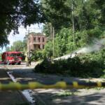 Firefighters spray water on a fallen tree blocking a residential street, with a red fire truck and a brick building in the background.