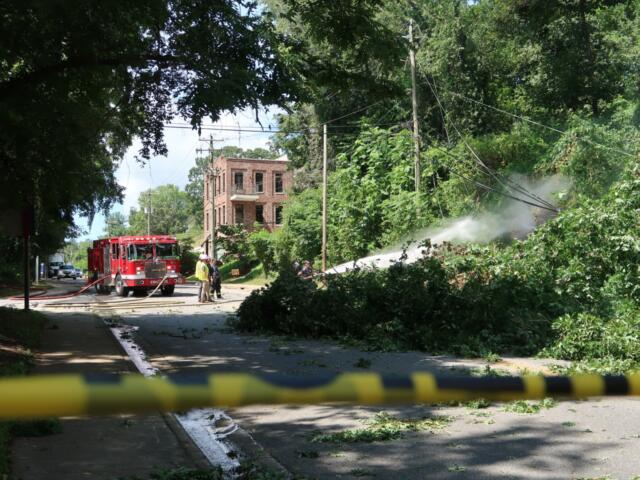Firefighters spray water on a fallen tree blocking a residential street, with a red fire truck and a brick building in the background.