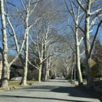 A neighborhood street in Buncombe County. Most property owners will see their 2026 tax bills based on 2021 assessed values after state lawmakers delayed implementation of the county’s 2026 reappraisal until 2027.