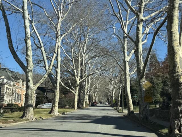 A neighborhood street in Buncombe County. Most property owners will see their 2026 tax bills based on 2021 assessed values after state lawmakers delayed implementation of the county’s 2026 reappraisal until 2027.