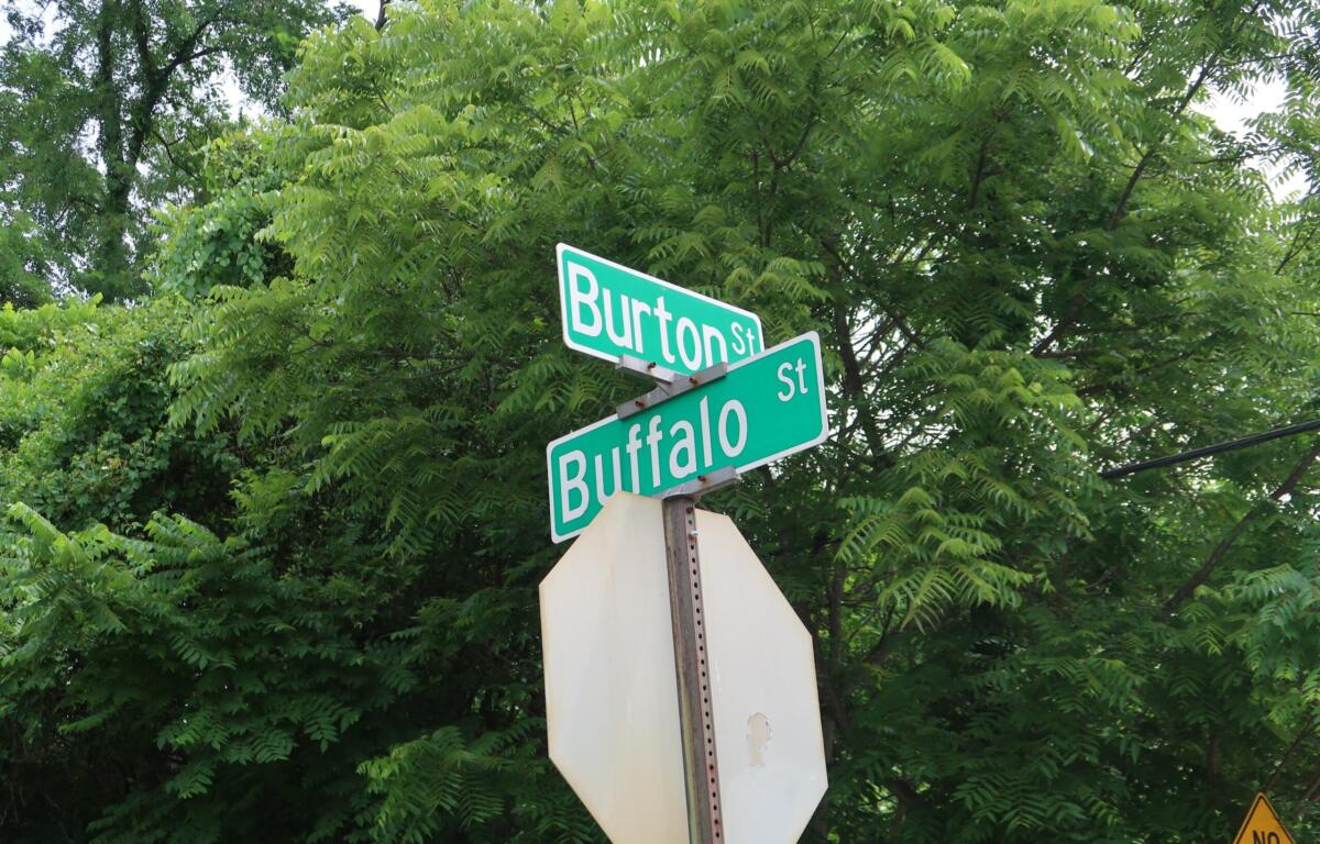 Intersection street signs reading Burton St and Buffalo St, set against dense green foliage.