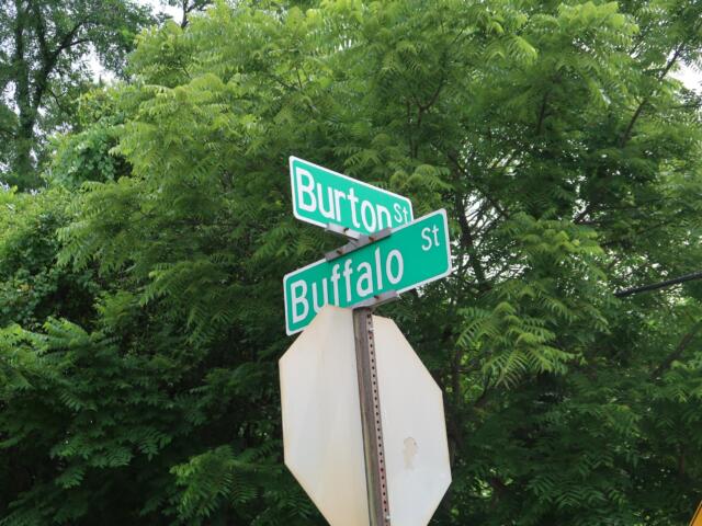 Intersection street signs reading Burton St and Buffalo St, set against dense green foliage.