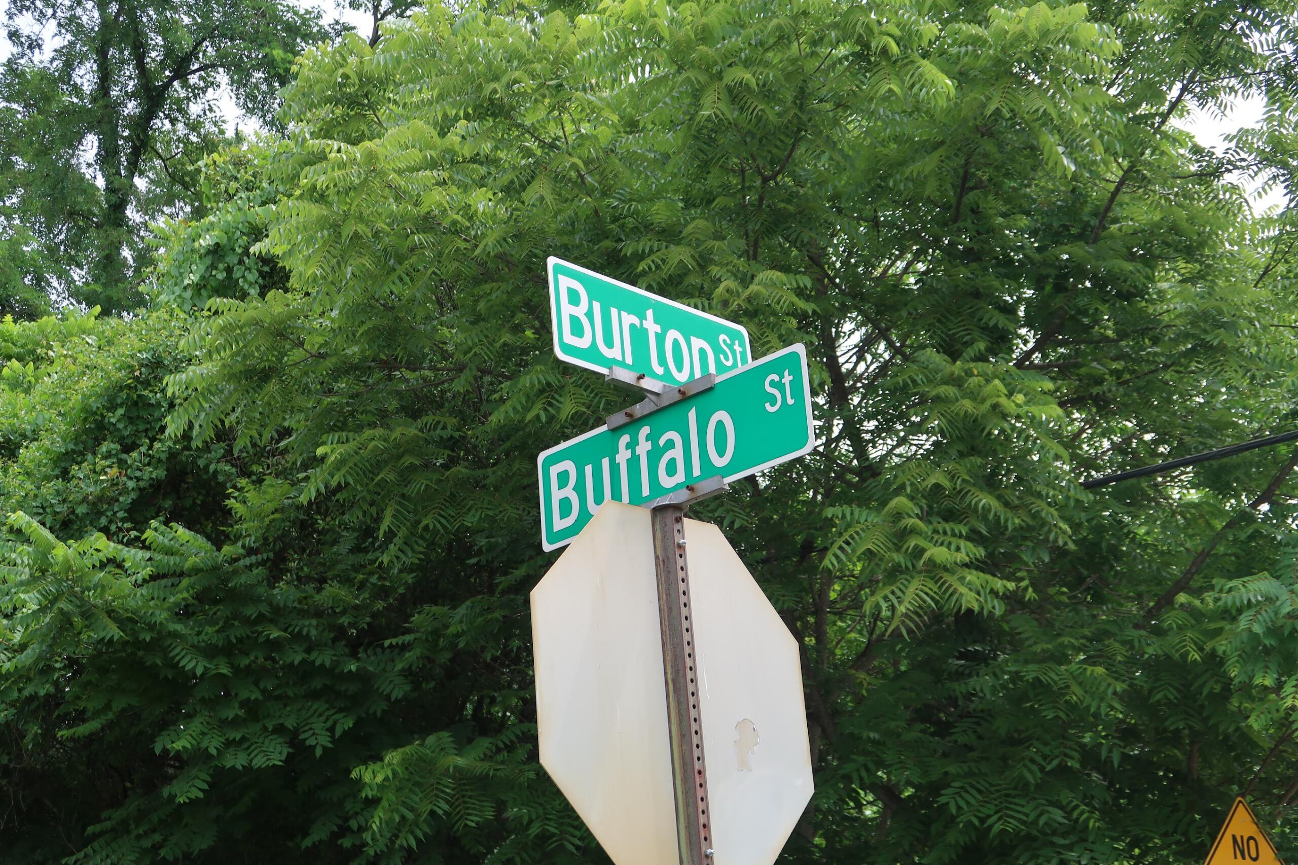 Intersection street signs reading Burton St and Buffalo St, set against dense green foliage.