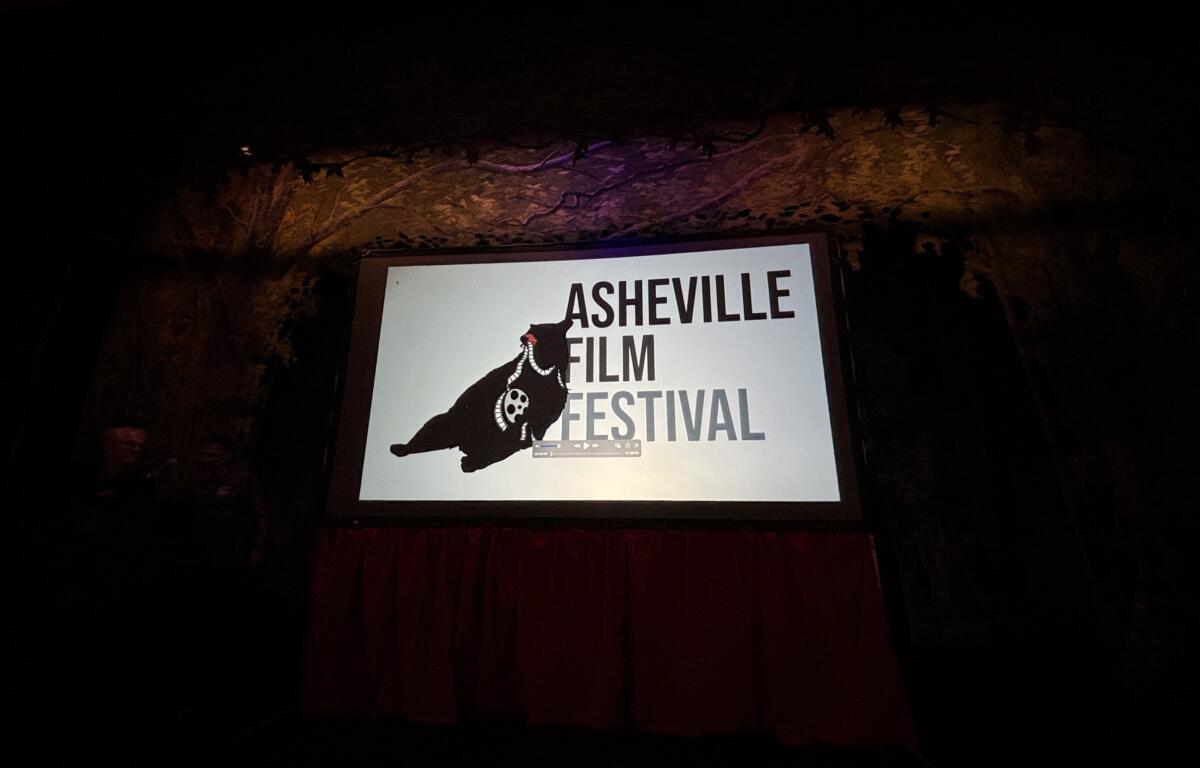 Sign at a film festival showing 'Asheville Film Festival' with a bear graphic on a rocky wall backdrop (dimly lit).