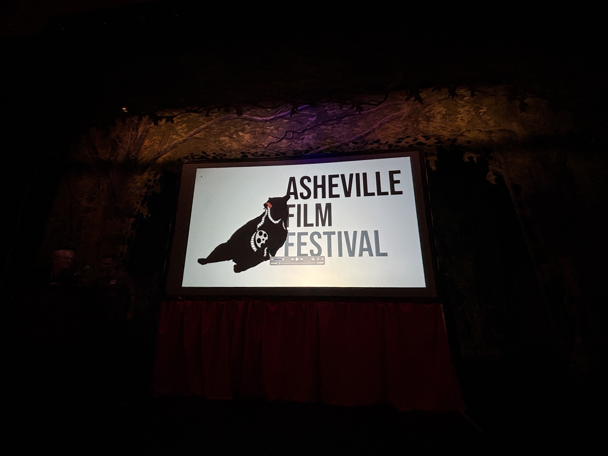 Sign at a film festival showing 'Asheville Film Festival' with a bear graphic on a rocky wall backdrop (dimly lit).