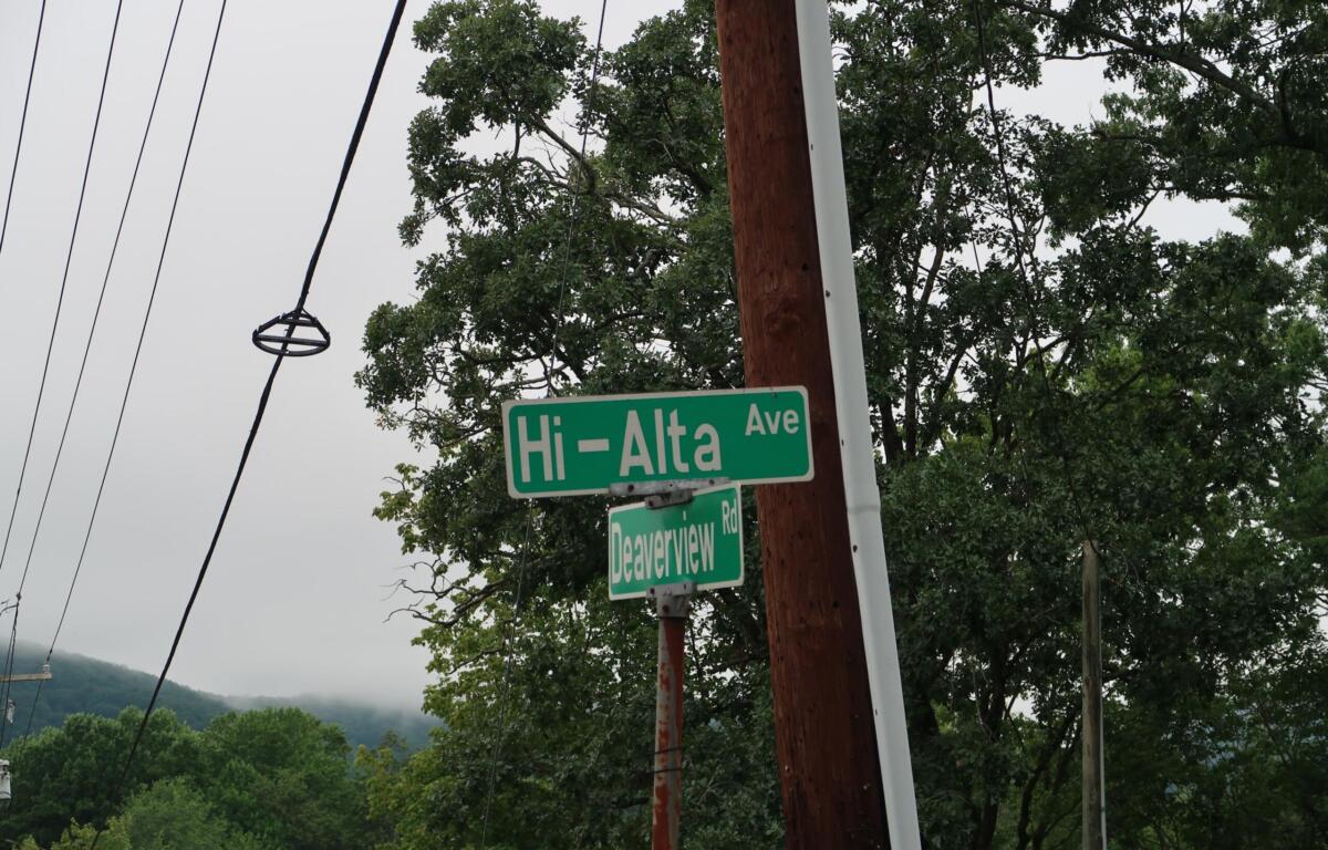 Green street signs for Hi-Alta Ave and Deerview Rd mounted on a wooden utility pole among trees and power lines.