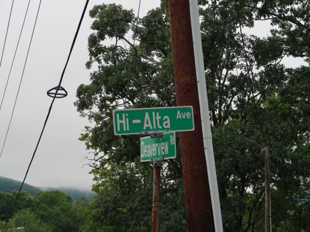 Green street signs for Hi-Alta Ave and Deerview Rd mounted on a wooden utility pole among trees and power lines.