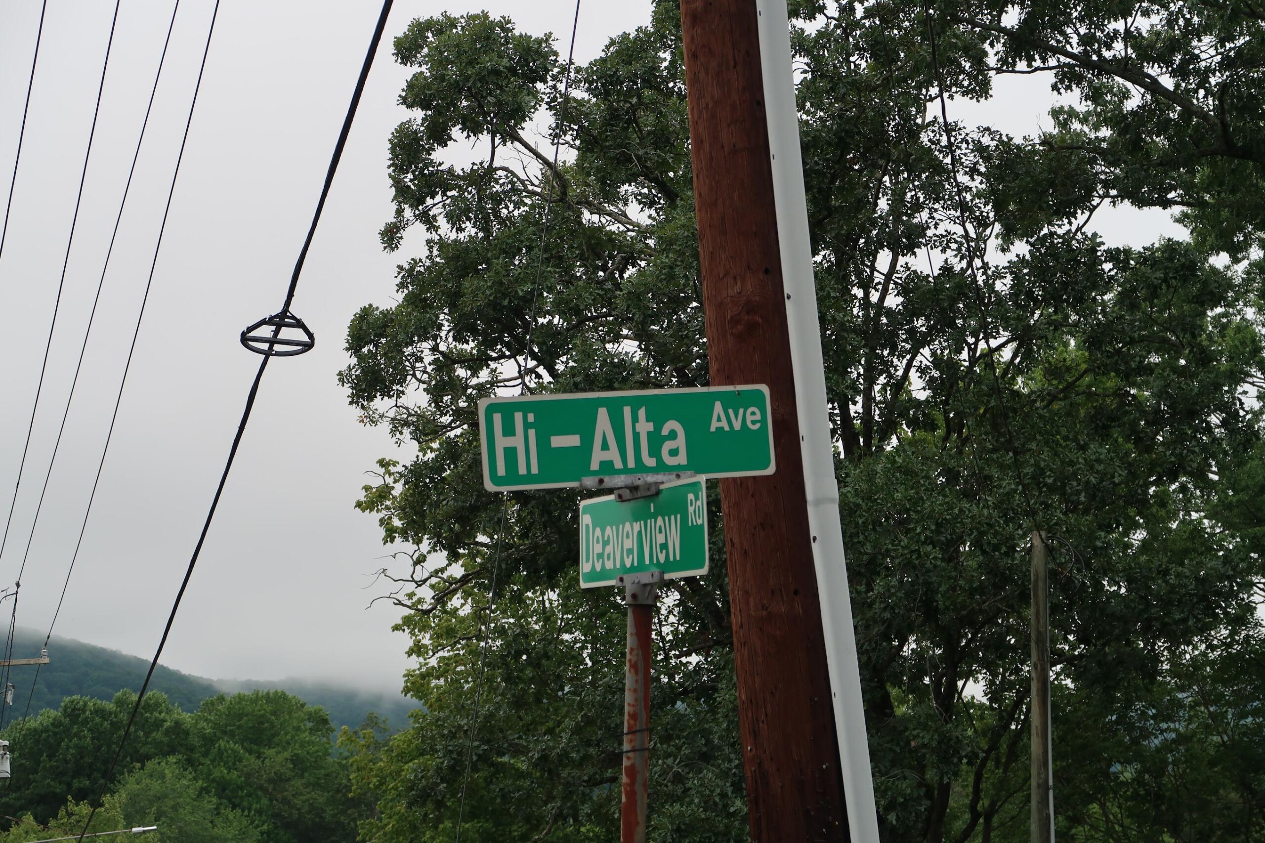 Green street signs for Hi-Alta Ave and Deerview Rd mounted on a wooden utility pole among trees and power lines.