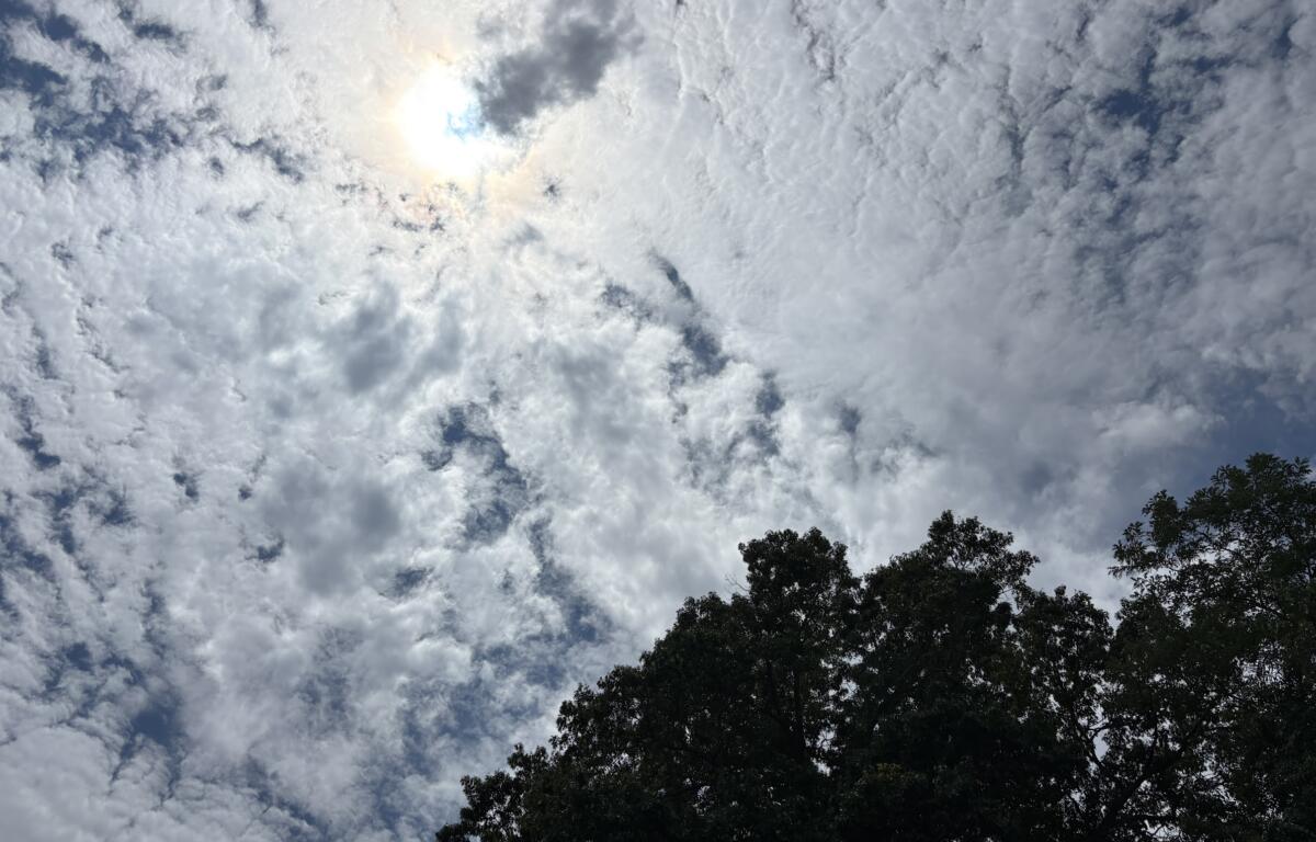Bright sky with scattered white clouds and sunlight peeking through, above a dark treeline at the bottom of the frame.