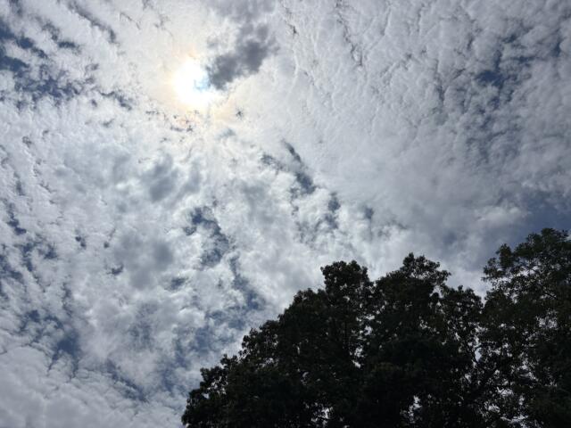 Bright sky with scattered white clouds and sunlight peeking through, above a dark treeline at the bottom of the frame.