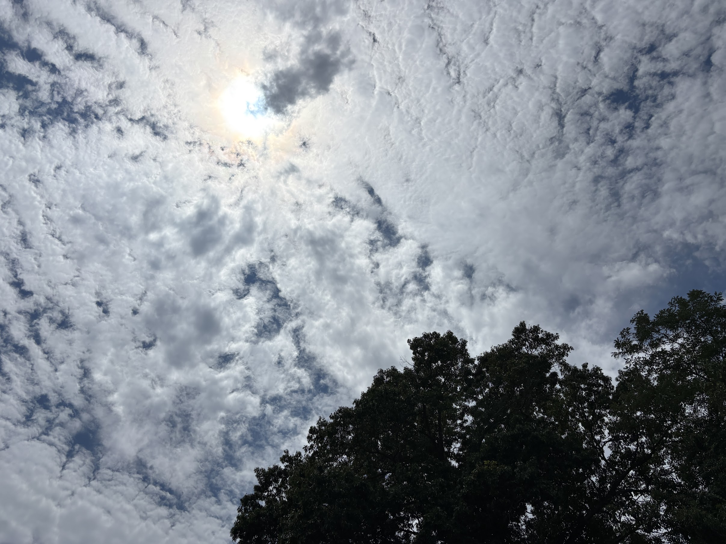 Bright sky with scattered white clouds and sunlight peeking through, above a dark treeline at the bottom of the frame.