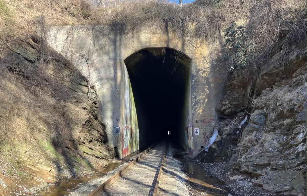 Railroad tracks entering a dark concrete tunnel, surrounded by rocky, overgrown hillside and bare vines.