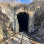 Railroad tracks entering a dark concrete tunnel, surrounded by rocky, overgrown hillside and bare vines.