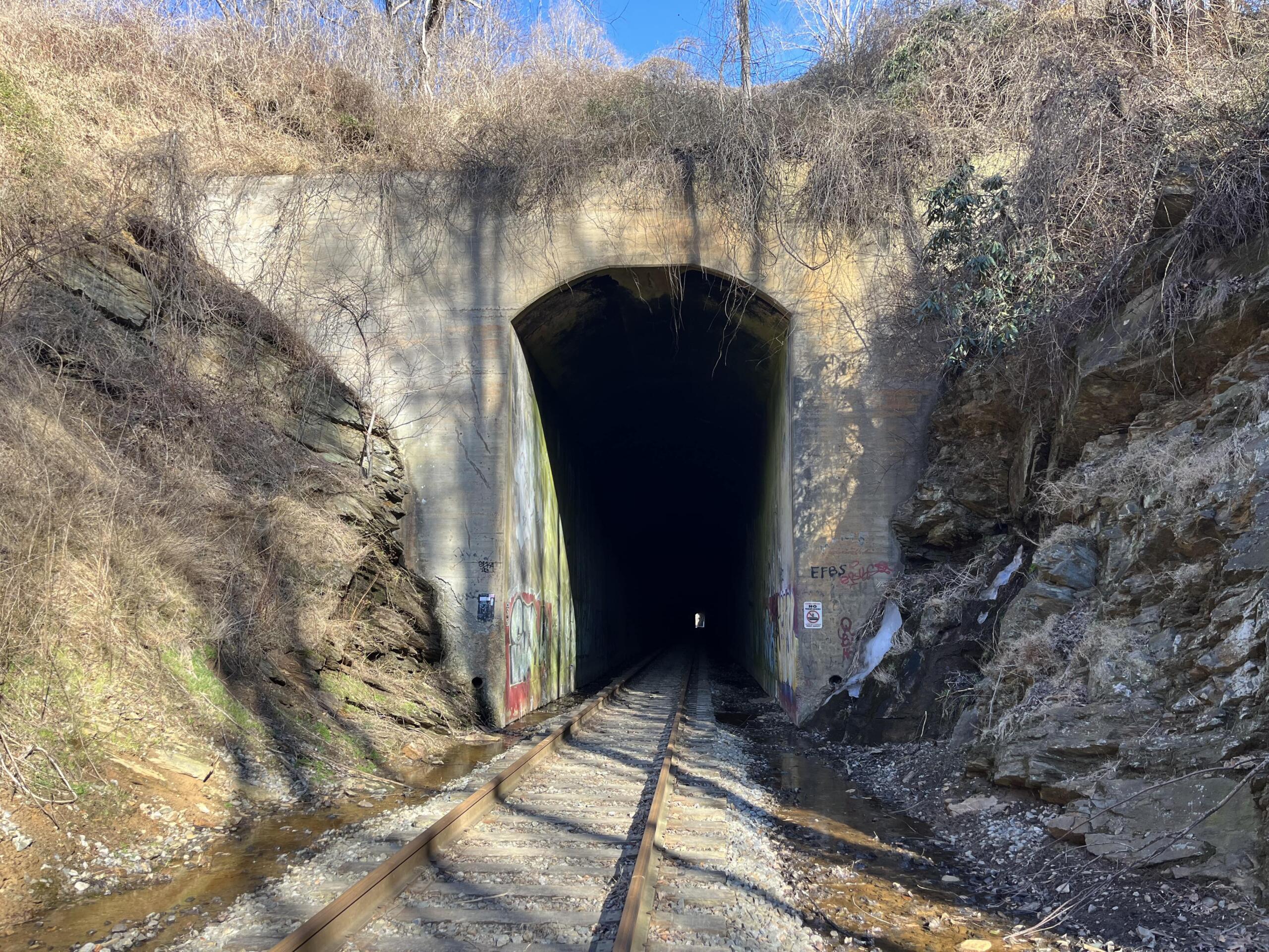 Railroad tracks entering a dark concrete tunnel, surrounded by rocky, overgrown hillside and bare vines.