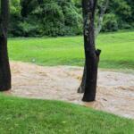 Flooding off Old Leicester Highway in the Juno area.