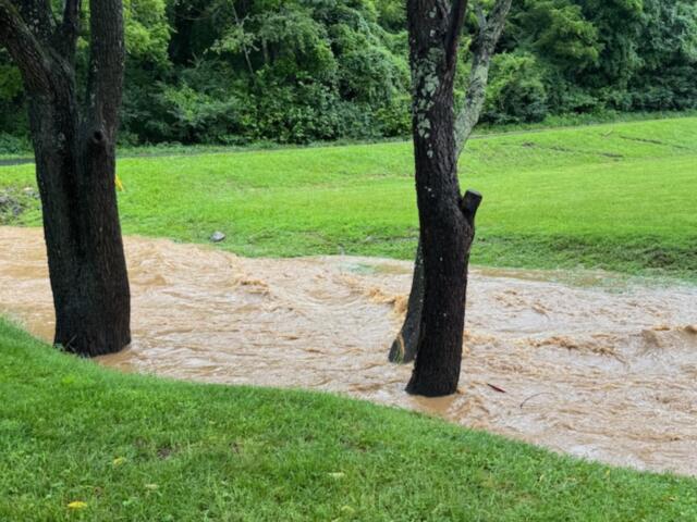 Flooding off Old Leicester Highway in the Juno area.