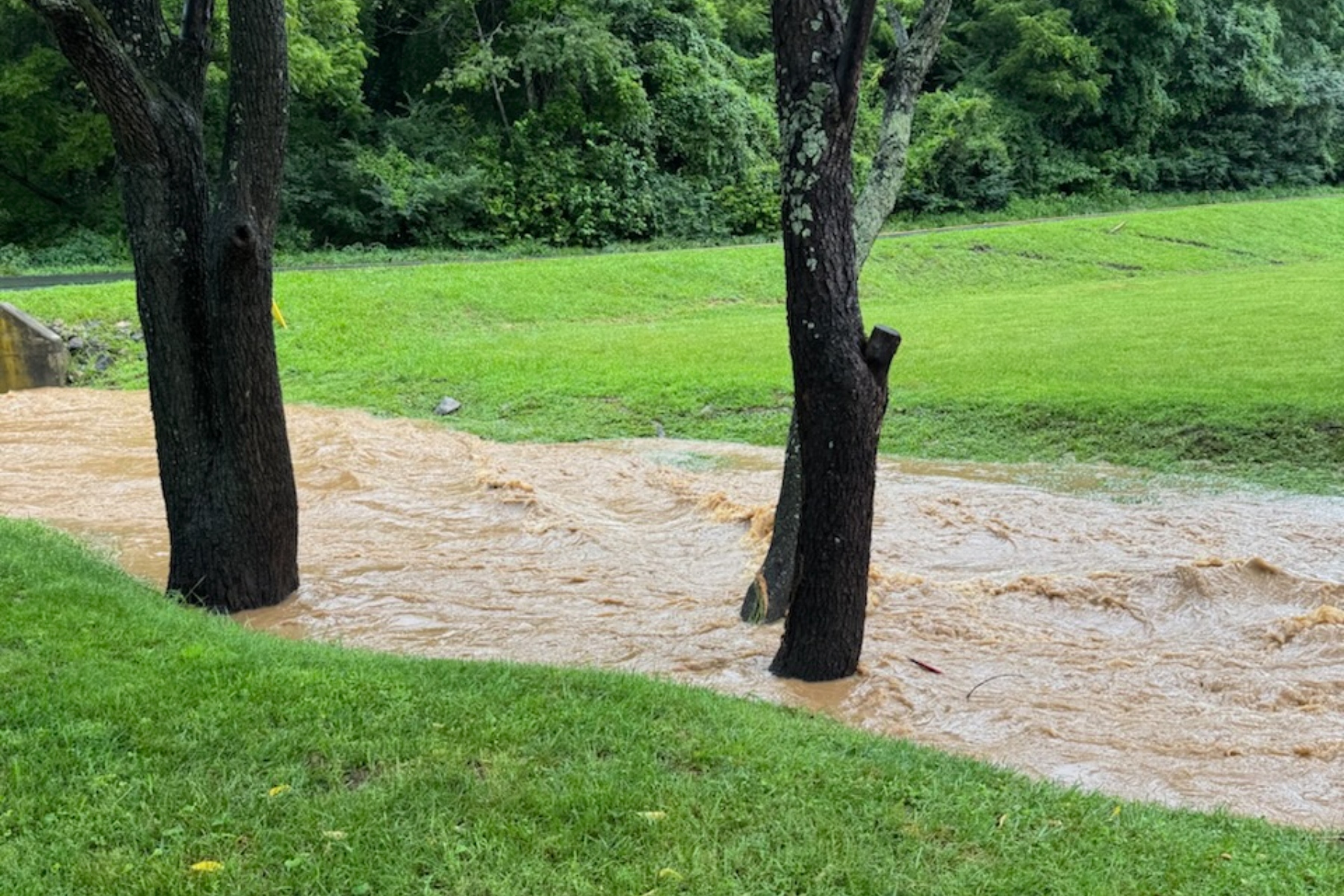 Flooding off Old Leicester Highway in the Juno area.