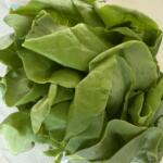 Pile of fresh green lettuce leaves arranged on a white plate, ready for salad.