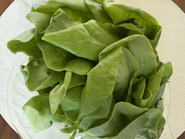 Pile of fresh green lettuce leaves arranged on a white plate, ready for salad.