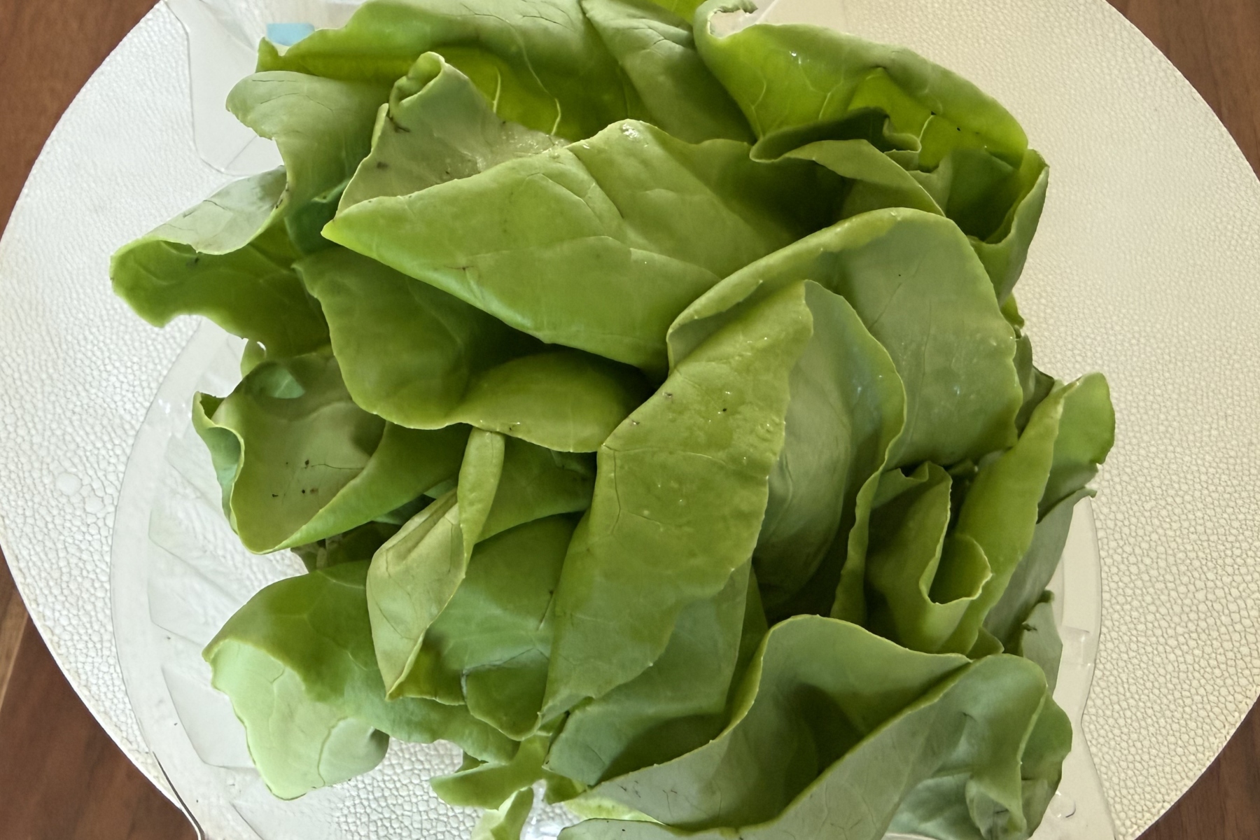 Pile of fresh green lettuce leaves arranged on a white plate, ready for salad.