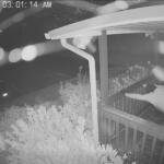 Night-vision porch scene: a person in light clothing reaches toward the door while another person stands on the porch; bushes and railing visible; timestamp 07-02-2026 03:01:14 AM.