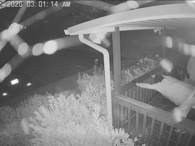 Night-vision porch scene: a person in light clothing reaches toward the door while another person stands on the porch; bushes and railing visible; timestamp 07-02-2026 03:01:14 AM.