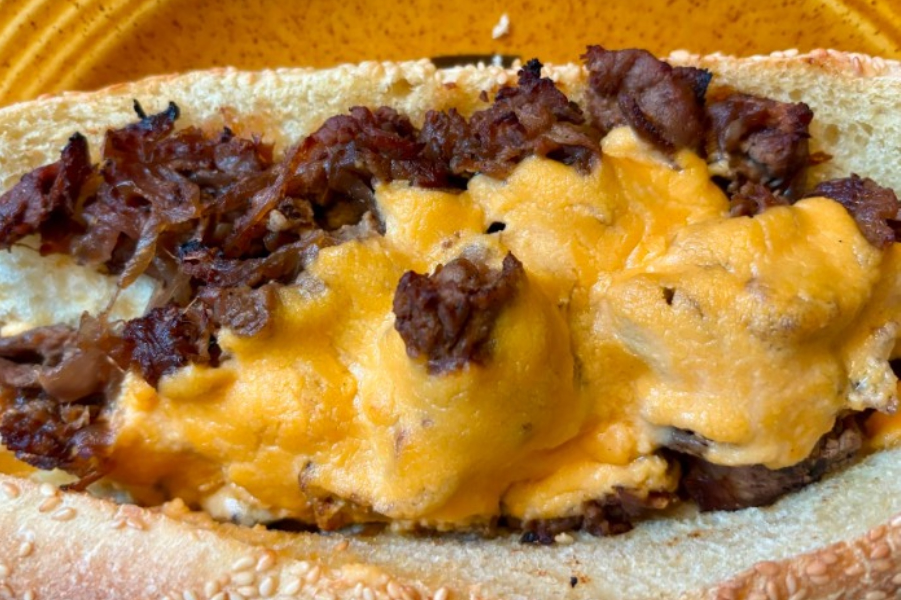 The Malvern's ribeye cheese steak