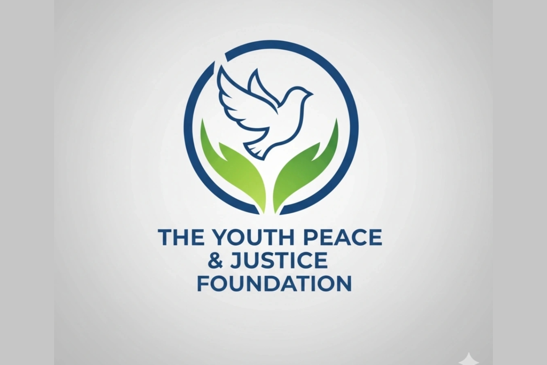 The Youth Peace & Justice Foundation