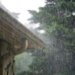 Rain pours alongside a wooden house gutter and curved downspout, with rain streaks and a green, leafy backdrop in the background.