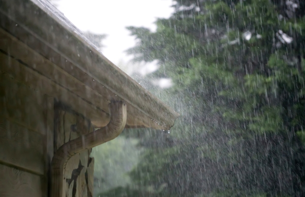 Rain pours alongside a wooden house gutter and curved downspout, with rain streaks and a green, leafy backdrop in the background.