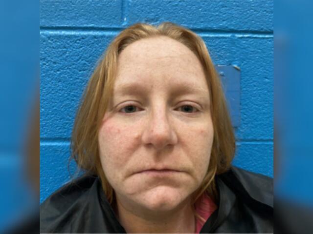 Close-up headshot of a woman with light skin and red-blond hair, standing against a blue wall (mugshot-style photo).
