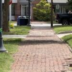 A brick sidewalk along Kitchin Place near Boston Way in Biltmore Village shows signs of wear following Tropical Storm Helene. Asheville is planning repairs to sidewalks, curbs, trees and other infrastructure in the historic district.