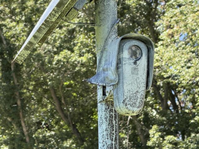 A Flock Safety automated license plate reader camera is pictured Aug. 24, 2026, at Carrier Park on Amboy Road in Asheville. Asheville City Council is scheduled to vote Tuesday on a resolution to terminate the city’s contract with Flock Safety.