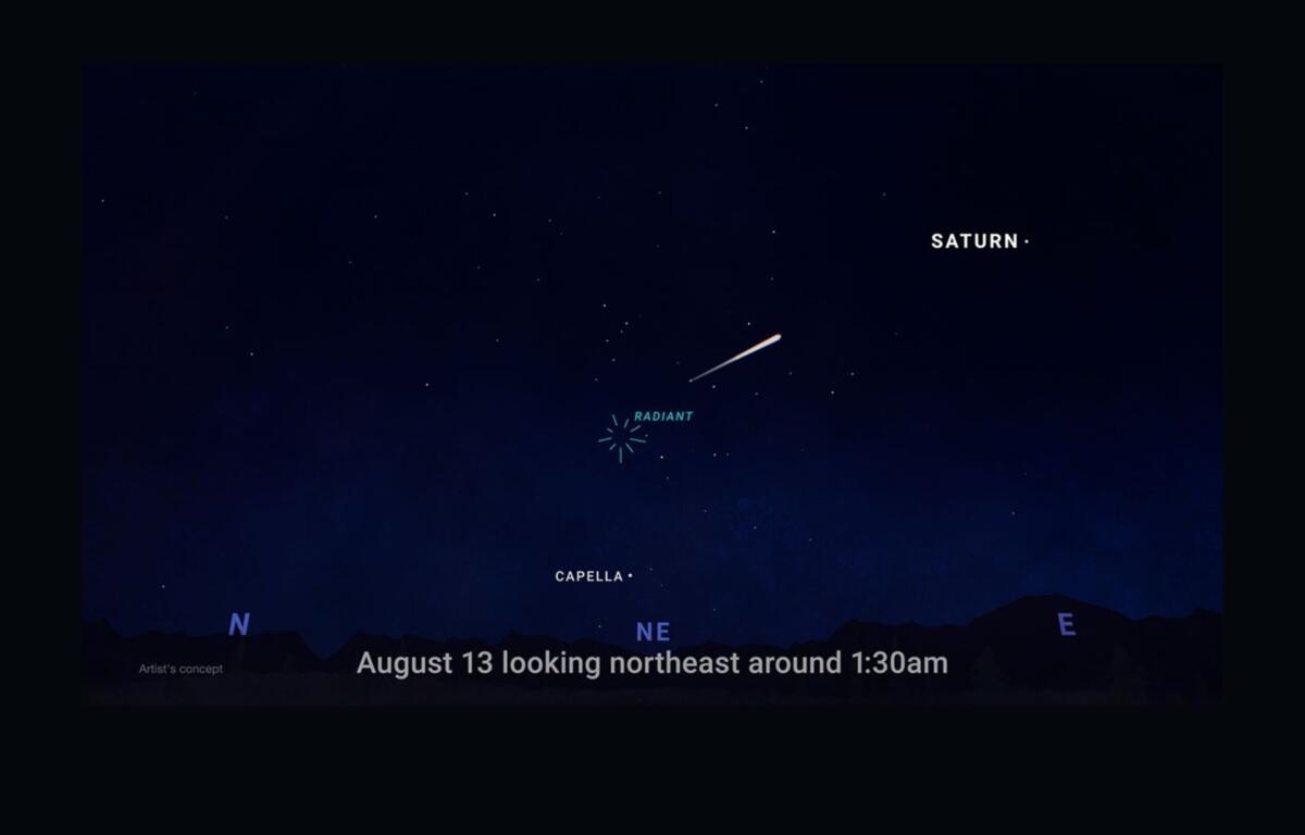 This illustration shows where in the night sky to look for the Perseid meteor shower.