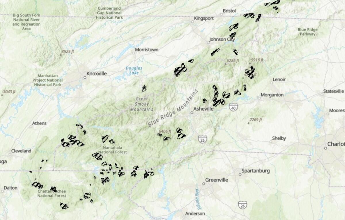 A map shows inventoried roadless areas in and around the Asheville area, including portions of the Pisgah and Nantahala national forests. The areas are among those covered by the federal Roadless Area Conservation Rule, which the U.S. Forest Service has proposed rescinding.