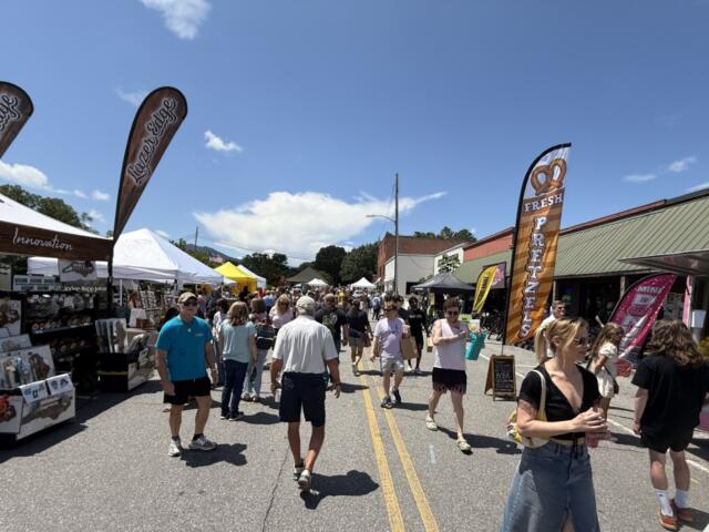 Scenes from this year’s Sourwood Festival in downtown Black Mountain