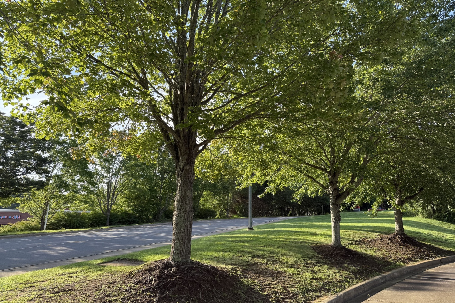 The site of the proposed Terrace at River Hills affordable housing development is shown near the River Hills Shopping Center off Swannanoa River Road in Asheville. The development would be located next to the Asheville Chuck E. Cheese at 104 River Hills Road.