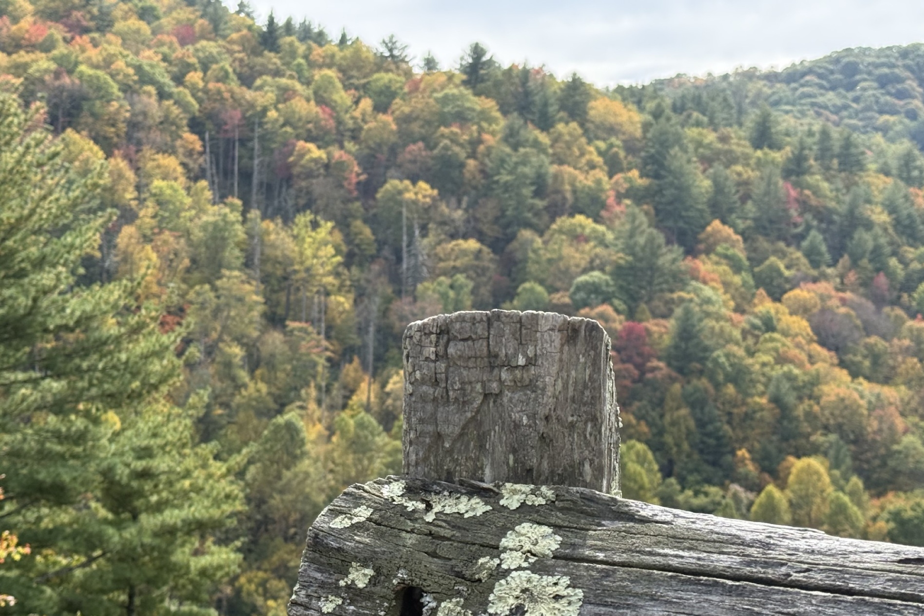 Want to skip the parkway crowds? Try these fall color spots instead ...